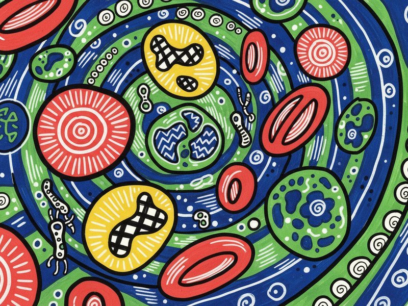 Cellular health - Microscopic view of blood cells moving in blood stream